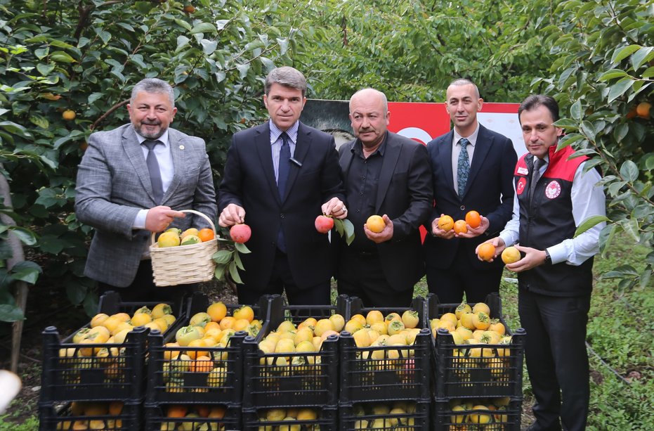 Valimiz Önder BAKAN,  Çiğdemlik Köyünde Düzenlenen Cennet Hurması Hasat Etkinliğine Katıldı